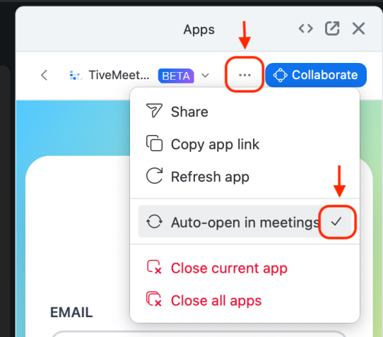 Tive app menu with Auto-open in meetings checked.