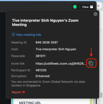 Zoom meeting info panel showing meeting details and invite link.